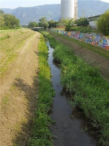 Fossa di bonifica dell’Adige (Foto: Agenzia provinciale per l’ambiente e la tutela del clima)