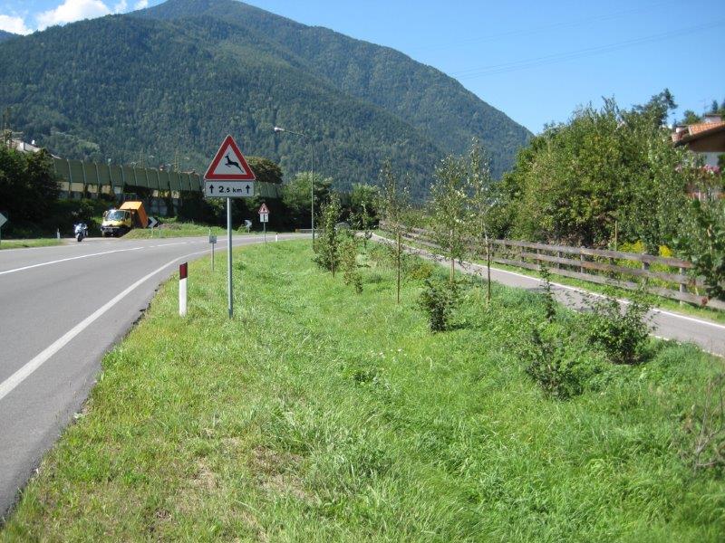 Muldenversickerung
entlang der Brennerstraße
in Vahrn