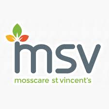 MSV Housing logo