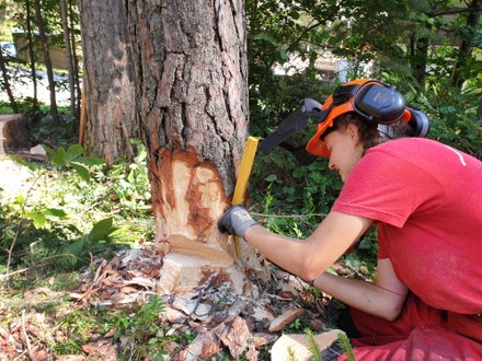 Waldarbeiterkurs an der FS Salern