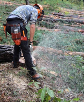 Waldarbeiterkurs an der FS Salern