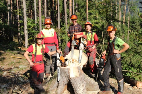 Waldarbeiterkurs an der FS Salern