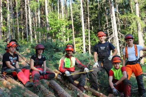 Waldarbeiterkurs an der FS Salern