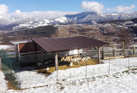 Mobiler Hühnerstall an der FS Salern