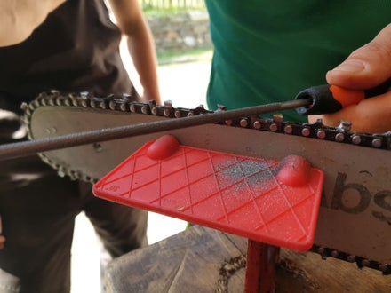 Waldarbeiterkurs an der FS Salern