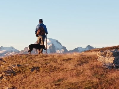 Ausbildung zur Hirtin/zum Hirten