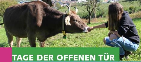 Tage der offenen Tür Salern