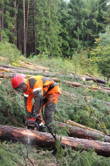 Waldarbeiterkurs an der FS Salern