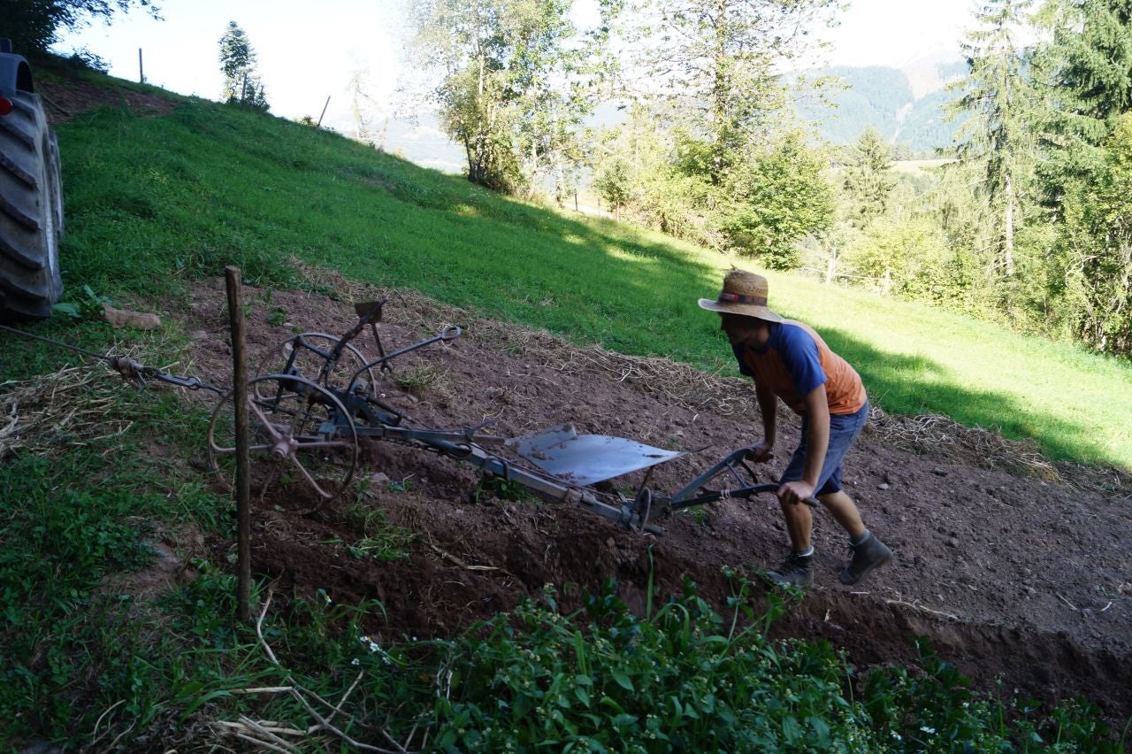 Michael Pfeifer - Testimonial der FS Salern