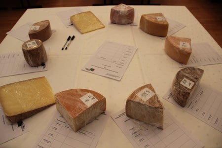 Käsebeurteilung in Salern