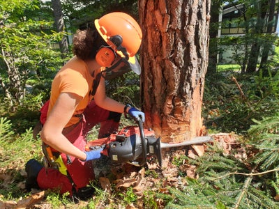 Waldarbeiterkurs an der FS Salern