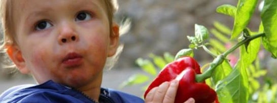 Lehrgang Schule am Bauernhof