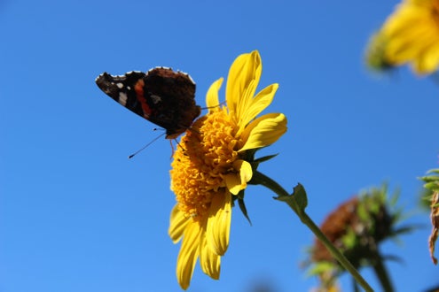 Outdoortag 2020 an der FS Salern