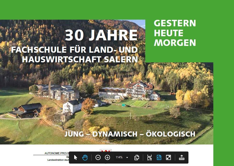 Publikationen an der FS Salern