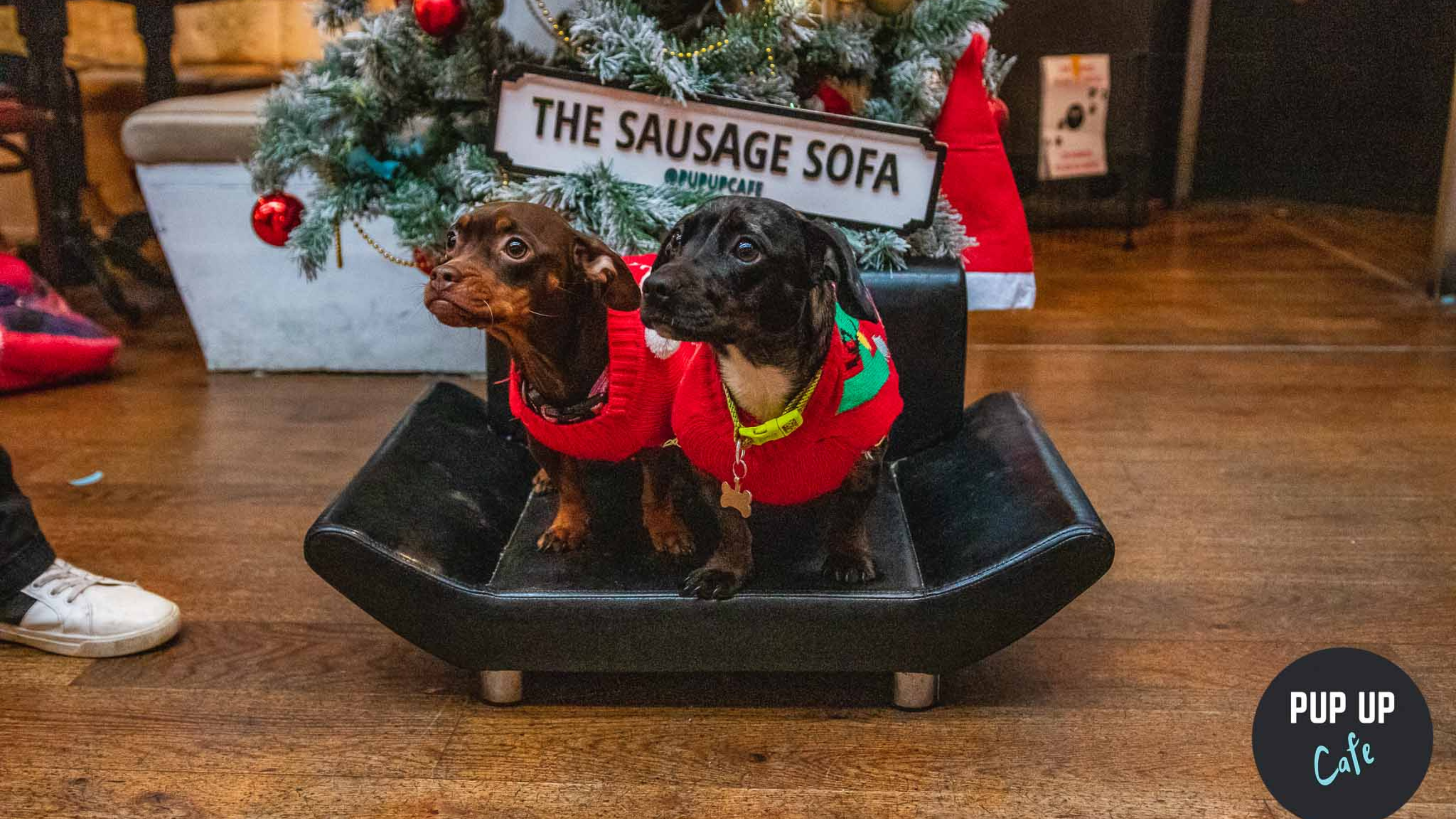 The Pup Up Café is back with its barking fun Christmas extravaganza