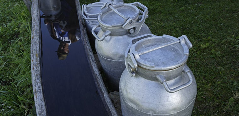 Agrar- und Forstberichte