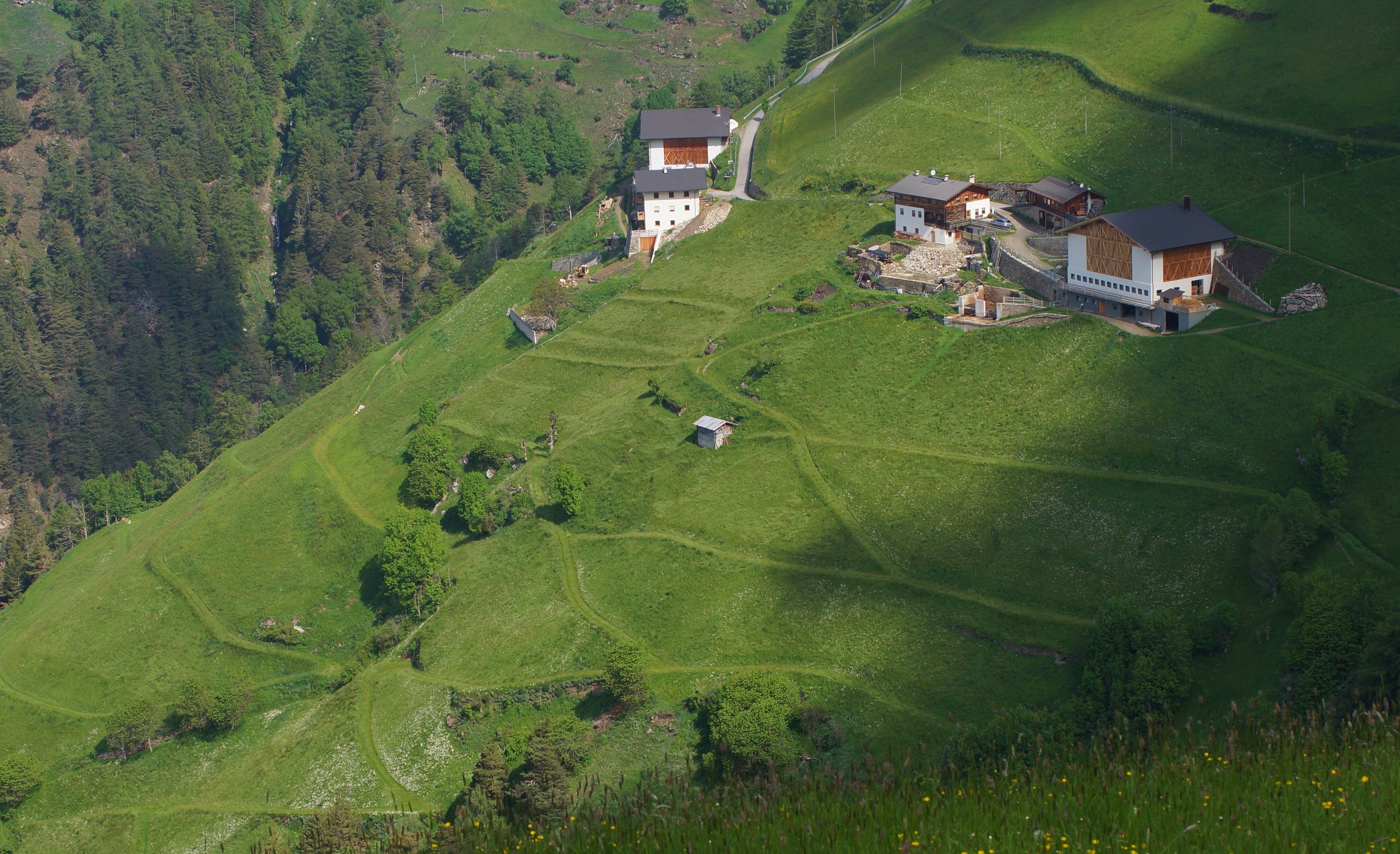 Beispiel eines landwirtschaftlichen Betriebs in einem ländlichen Raum mit Futterflächen an steilen Hängen.