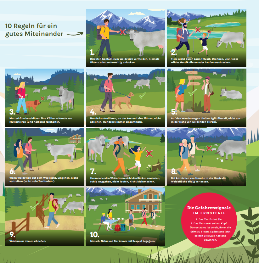 DIE ALM: Wo die Tiere zu Hause sind und der Mensch zu Gast ist