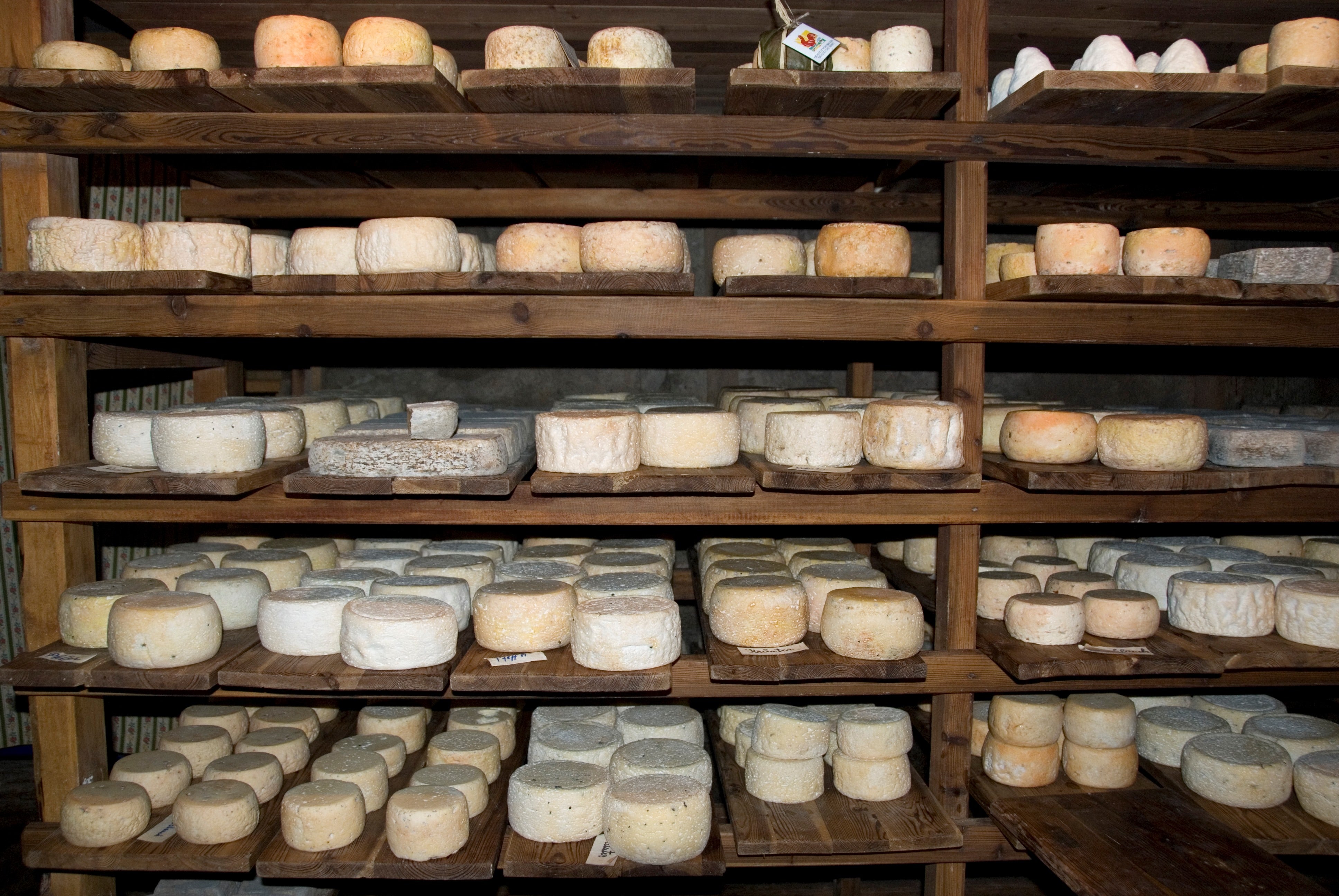 Prodotto latte_formaggio