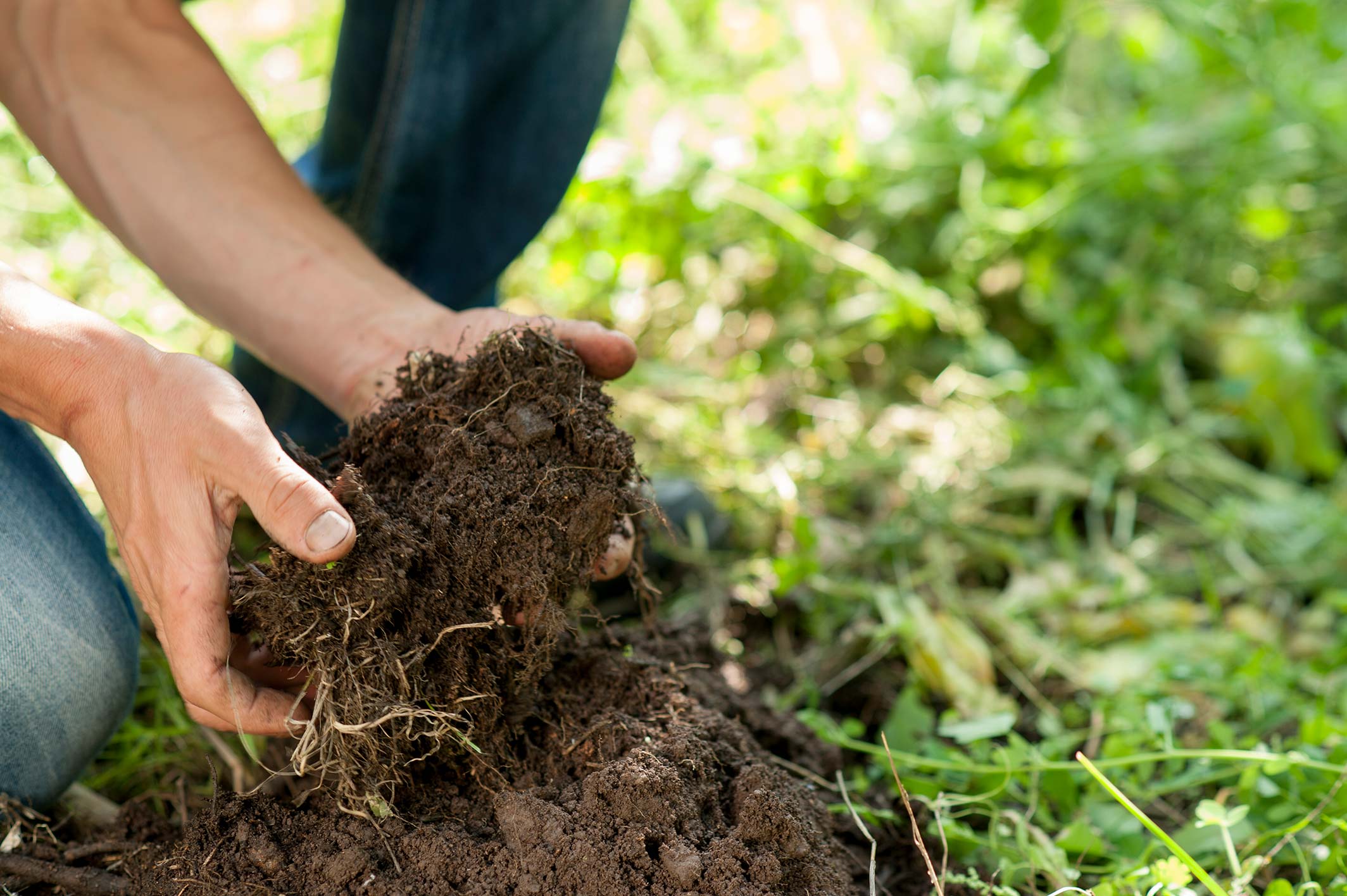 Biologische Landwirtschaft