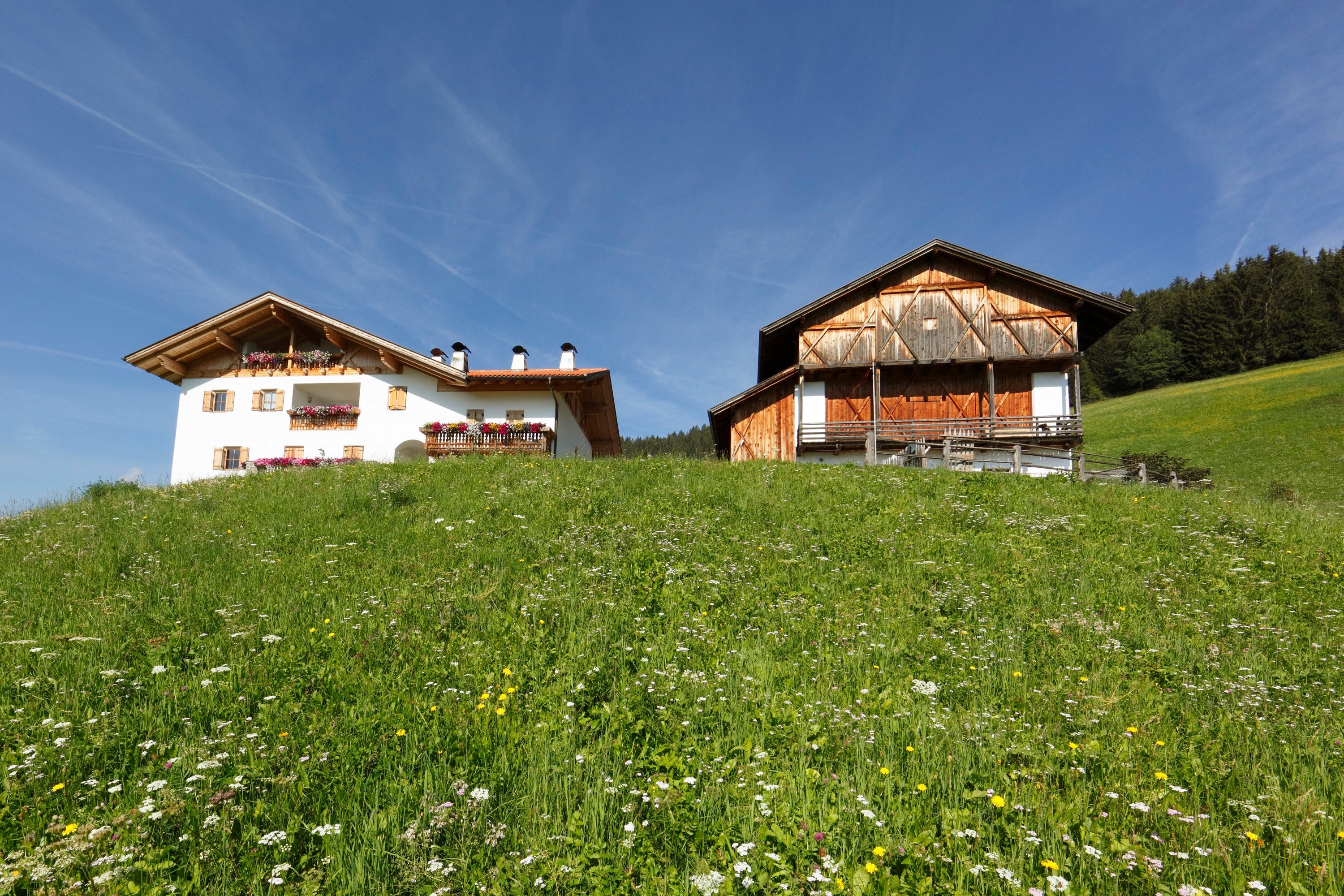 Wirtschaftsgebäude und Wohnhaus