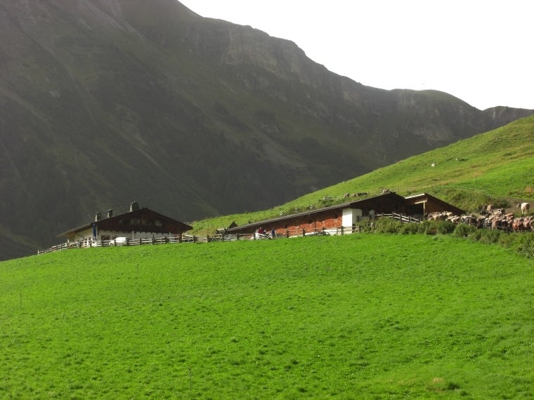 Interessenza Schlinig in Valle di Slingia