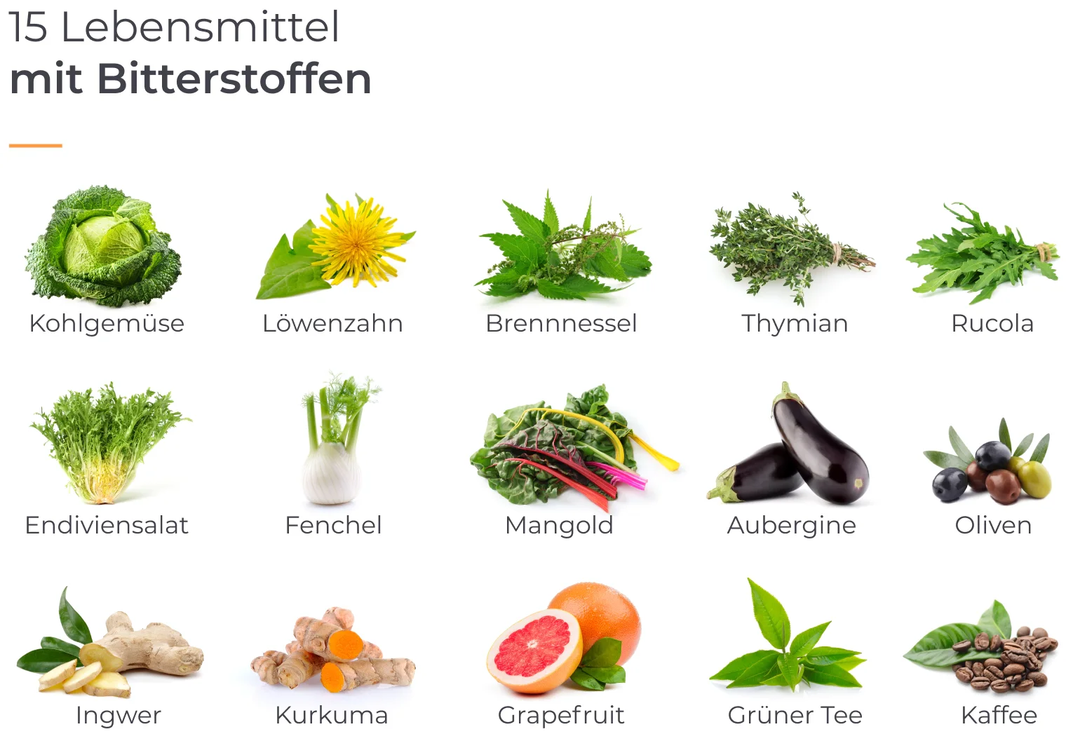 Was sind Bitterstoffe und warum sind sie so gesund?