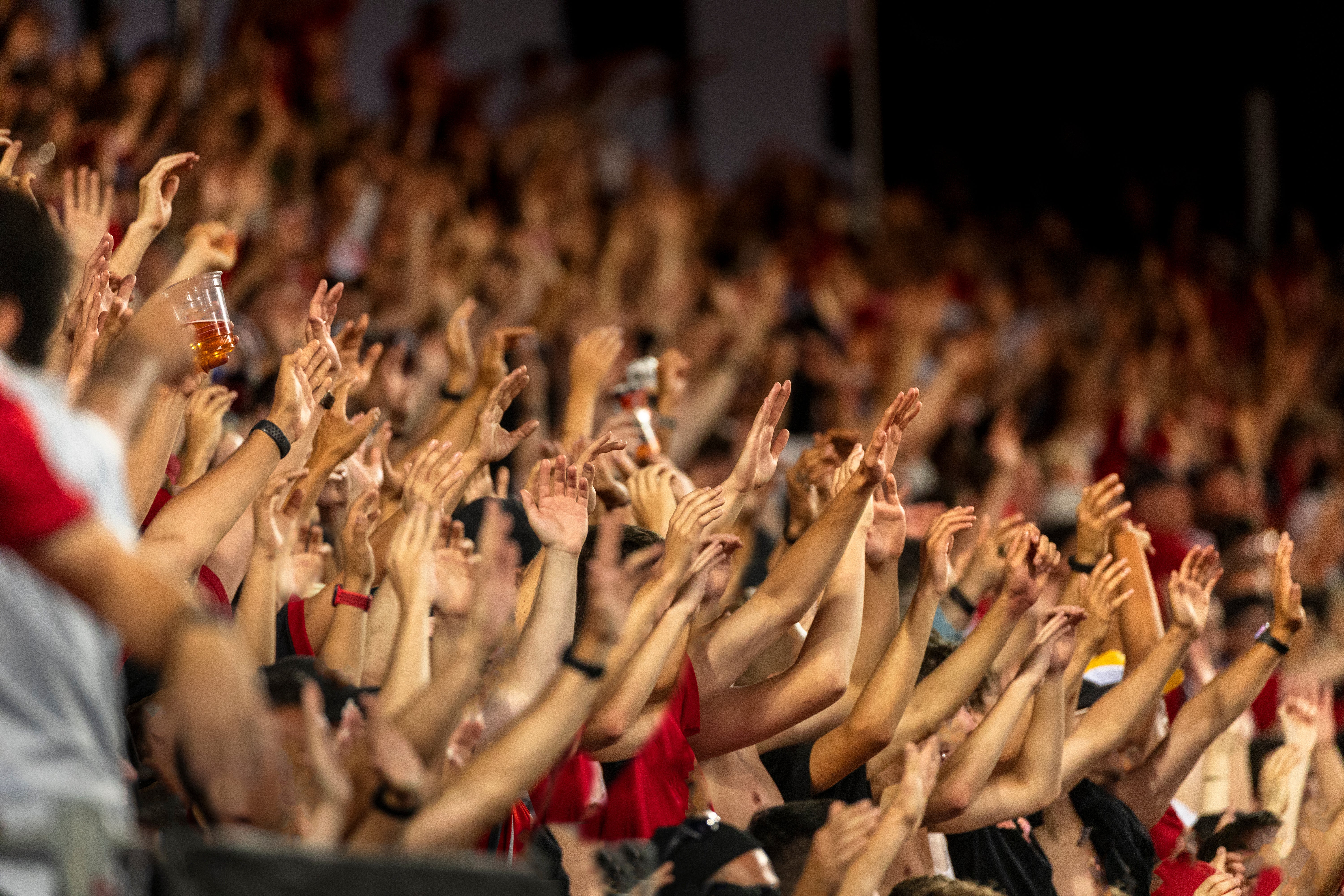 Fans with their hands in the air