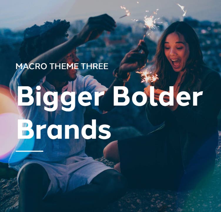 Dentsu Consumer Vision: Bigger Bolder Brands