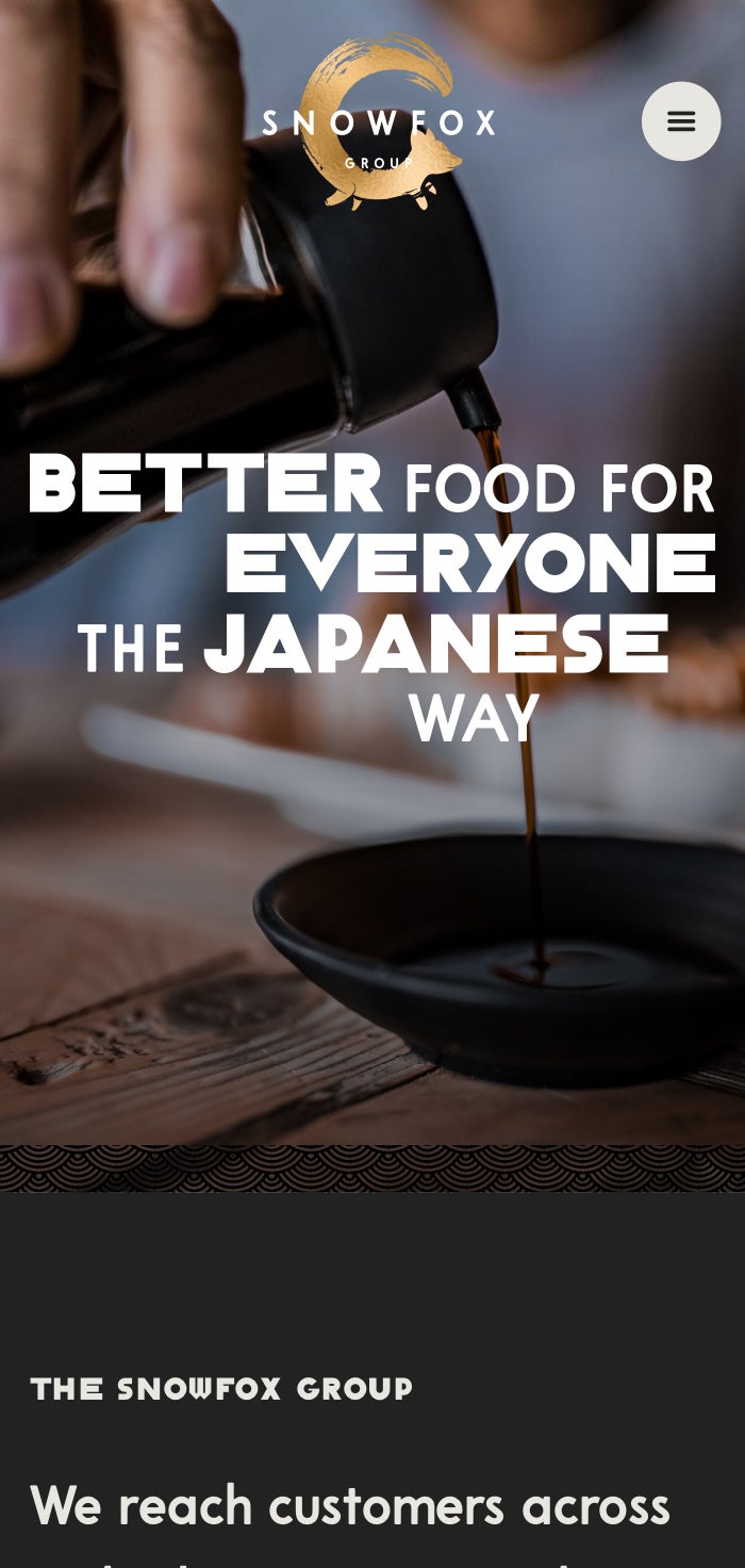 Snowfox Group homepage design