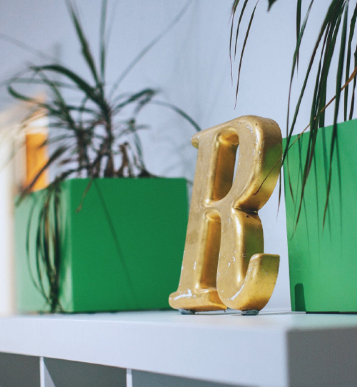 A gold Ridgeway 'R' between two plant pots