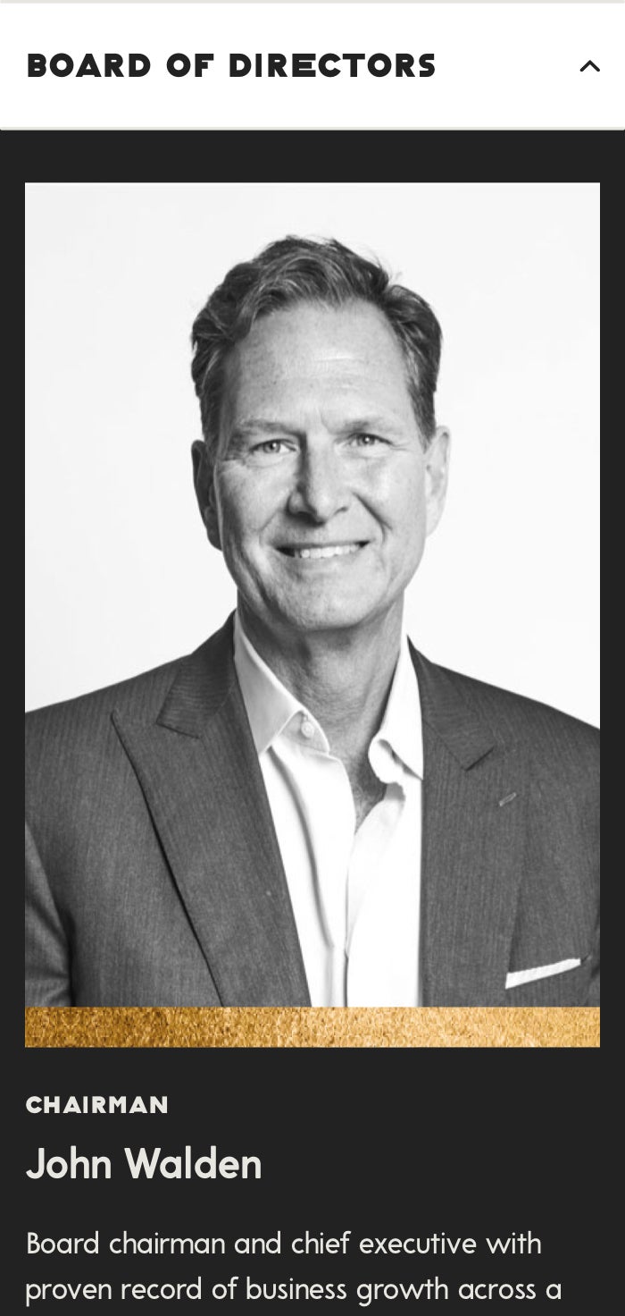 Snowfox Group board of directors profile