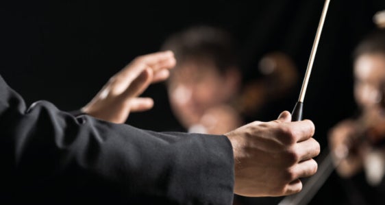 Stagione sinfonica (foto: FHS)