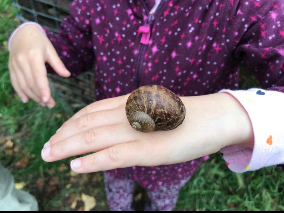 Territorio educativo