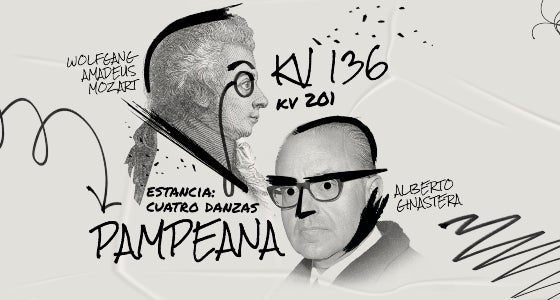 Logo Haydn (foto: FHS)