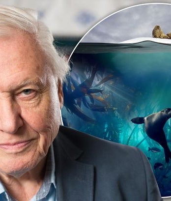 Planet Exploration Blue Planet III: An OU/BBC co-production