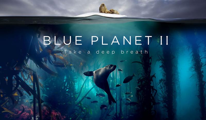 Blue Planet II - The Open University