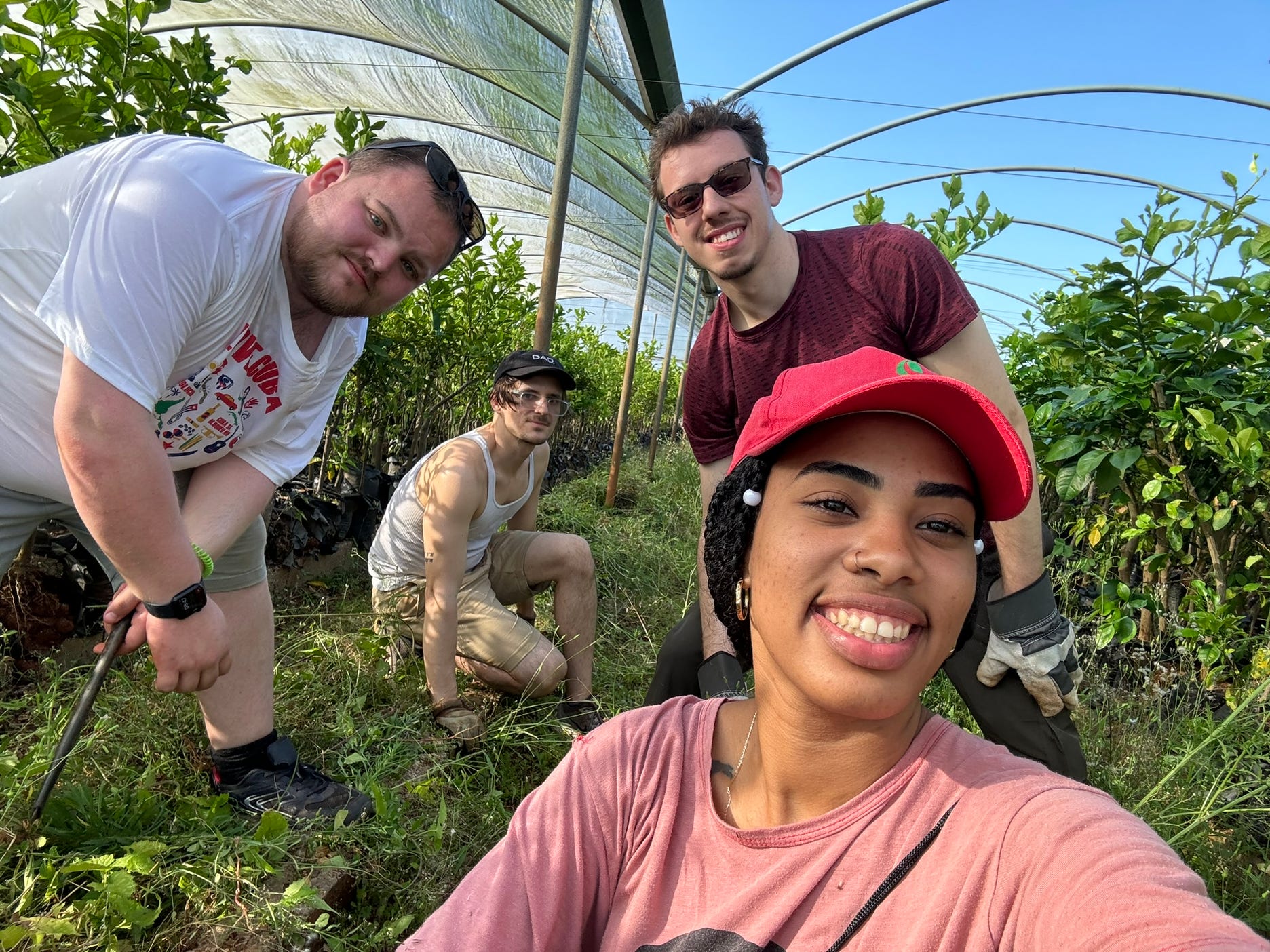 Four young people posing for a photo in a garden under a polytunnel. they are leaning down to see the camera and look like they've been gardening. 