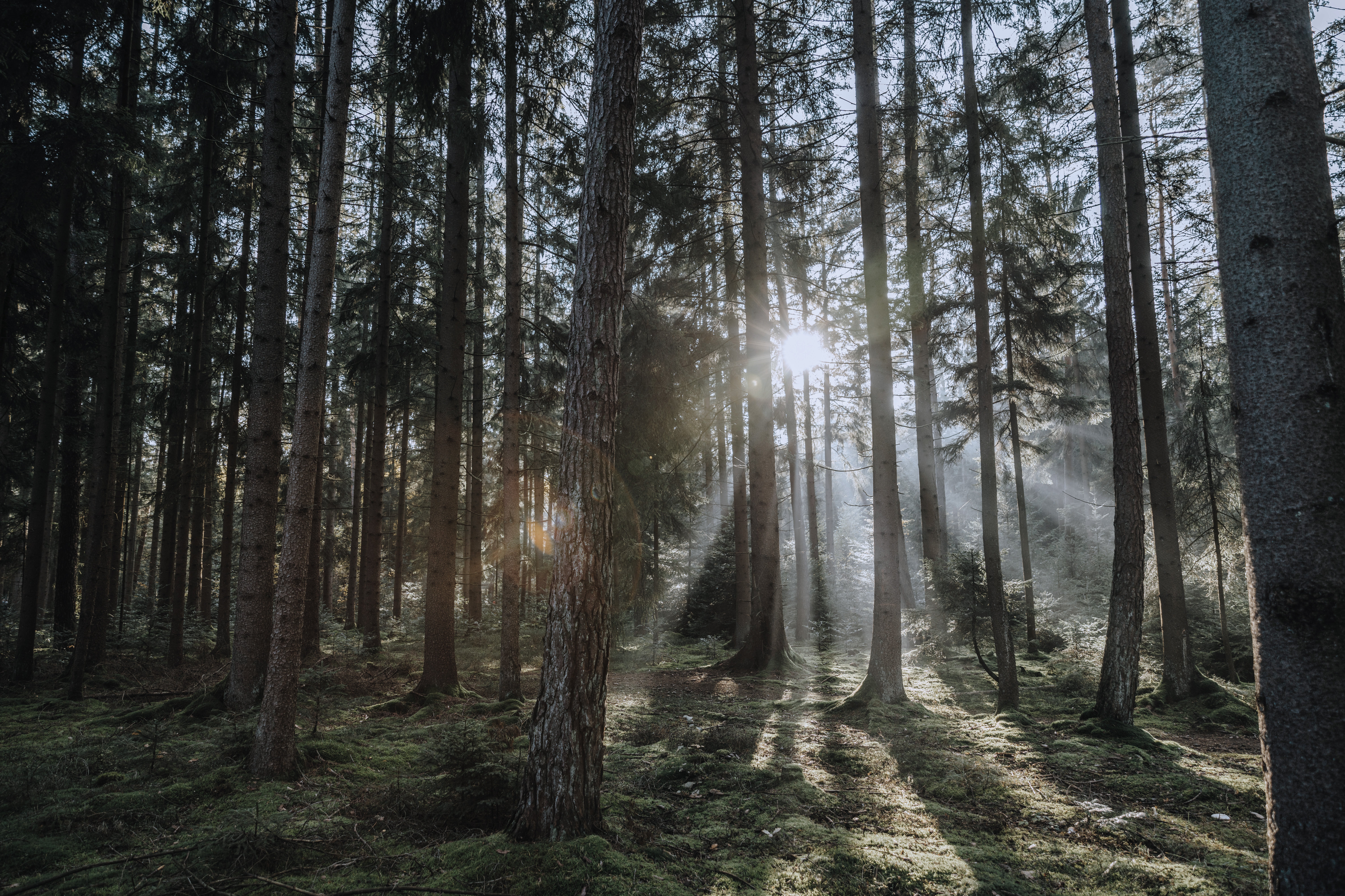 Marketing & bærekraft