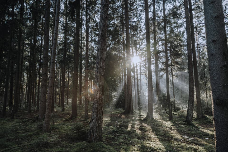 Article card header image