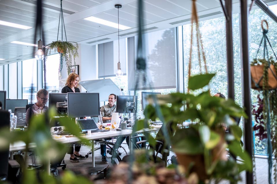 Article card header image