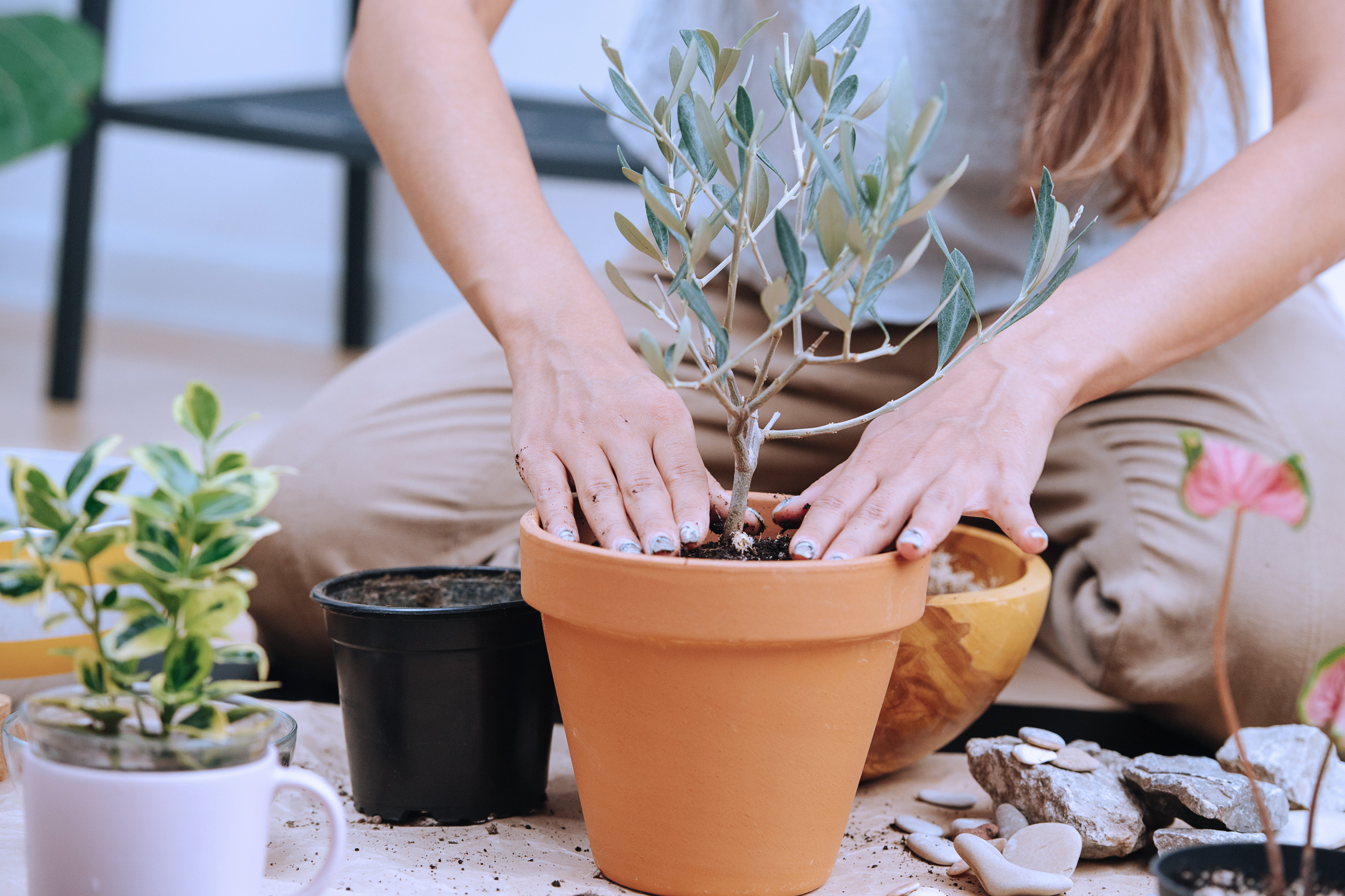 Article card header image