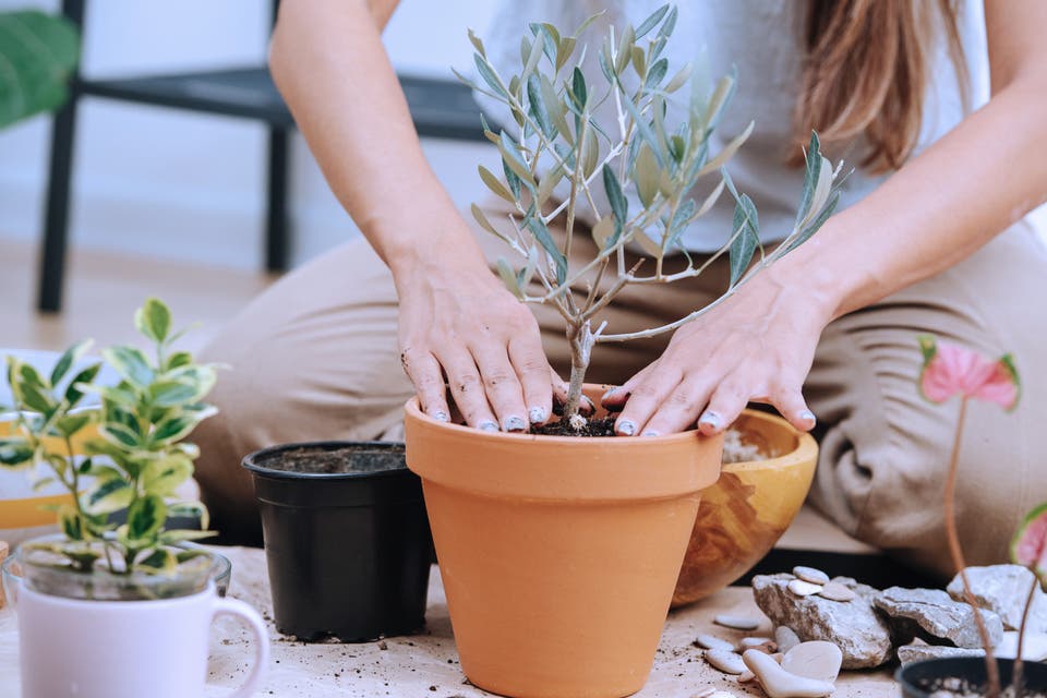 Article card header image