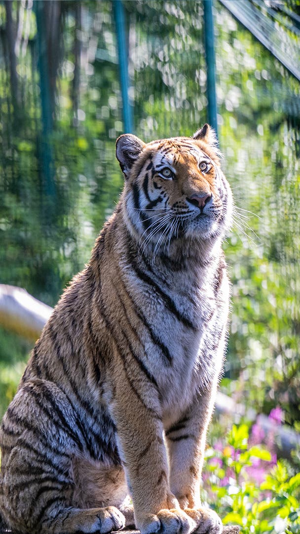 Case study card header image