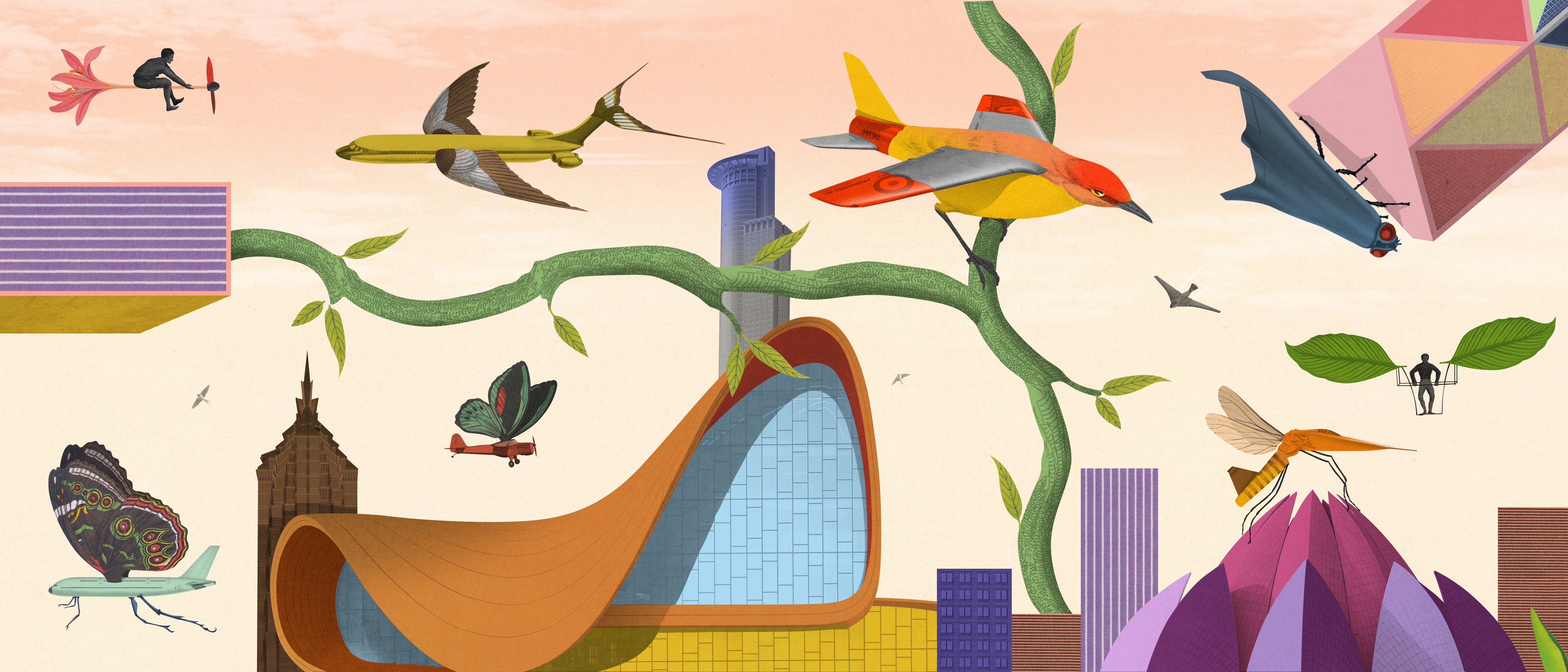 Article card header image