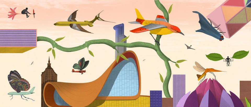 Article card header image