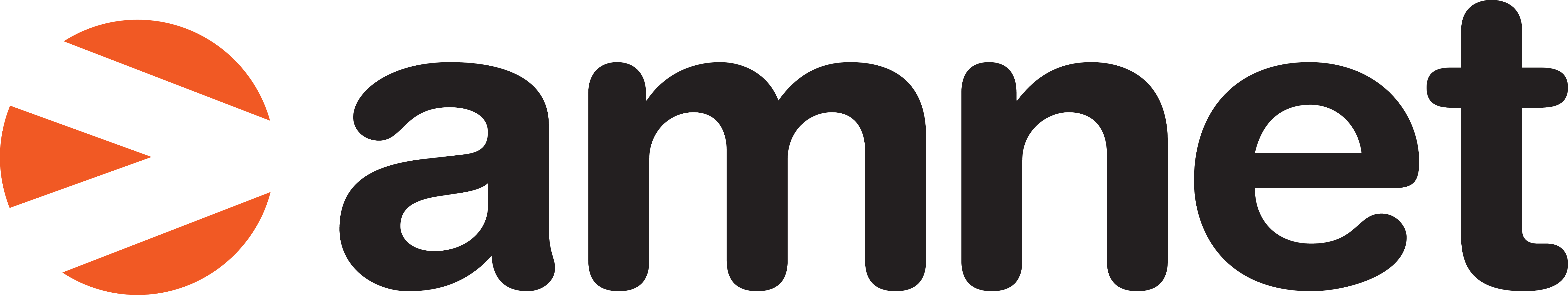 Amnet logo