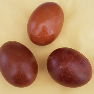 Mit Zwiebelschalen färben