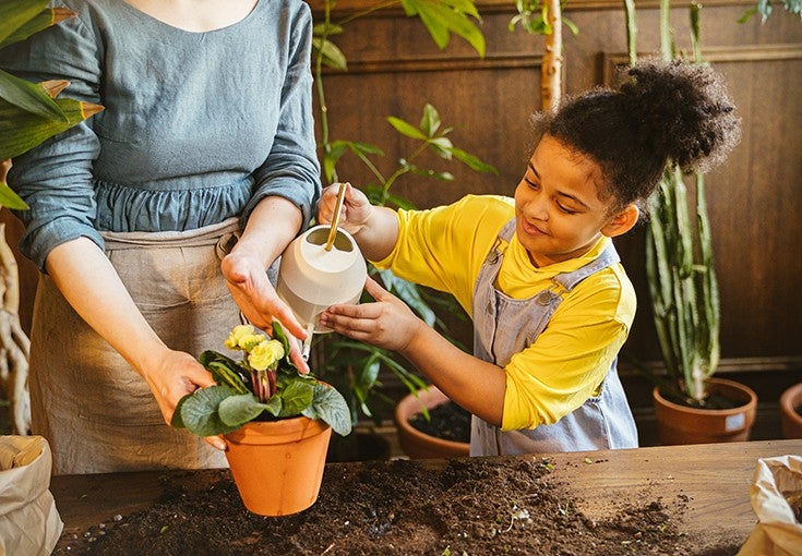 A young girl waters a plant
