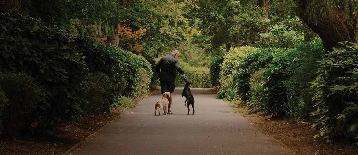 Whickham park, with a dog walker and two dogs. 